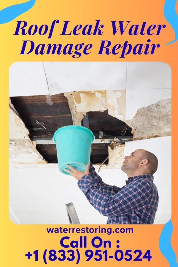 Roof Leak Water Damage Repair in McLain, MS