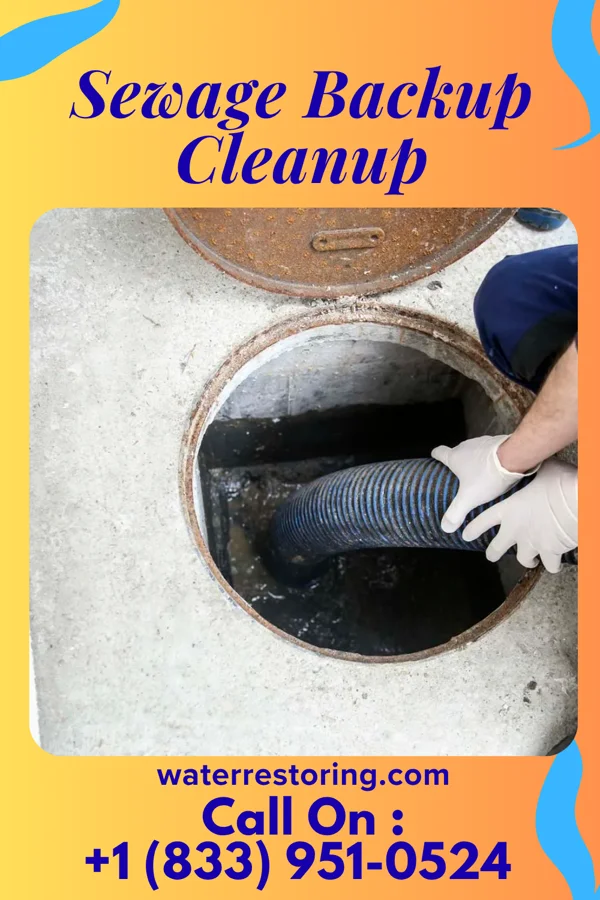 Sewage Backup Cleanup in McLain, MS